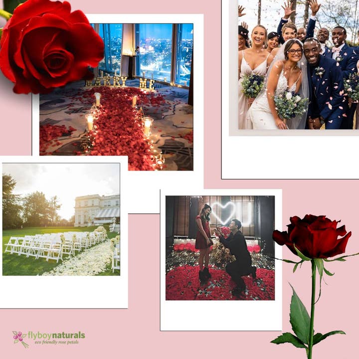 Flyboy Naturals Rose Petals – wholesale Confetti – Assorted Flower Petal Blend, Real, Eco-Friendly, Stress Free15