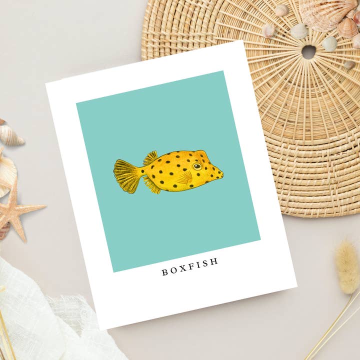 Boxfish minimalistisk kunsttryk, kyststrandæstetik for engroshandel hos Fins and Frags