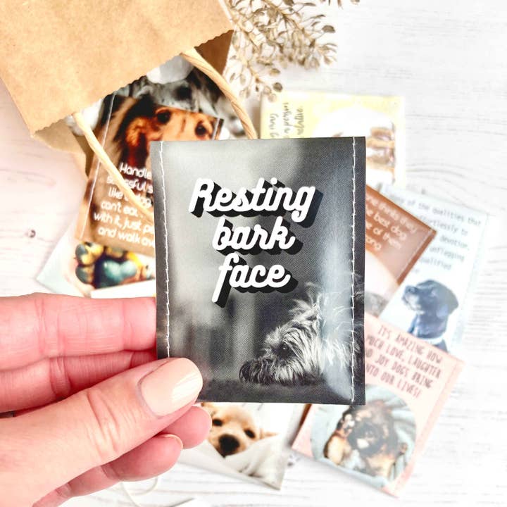 Victoria Mae Designs – Großhandel Teebeutel – Hundefreunde Tee-Geschenkset3