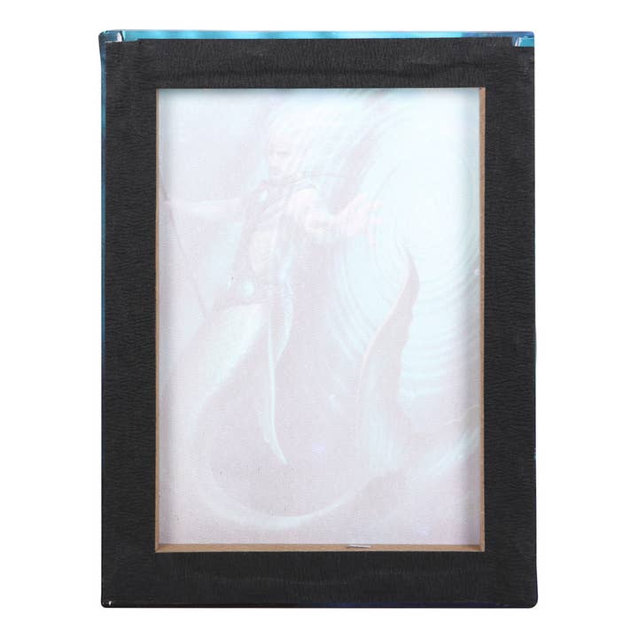 Something Different Wholesale - Vente Plaque murale - Plaque sur toile « Water Element Wizard » de 19 x 25 cm par Anne Stokes3