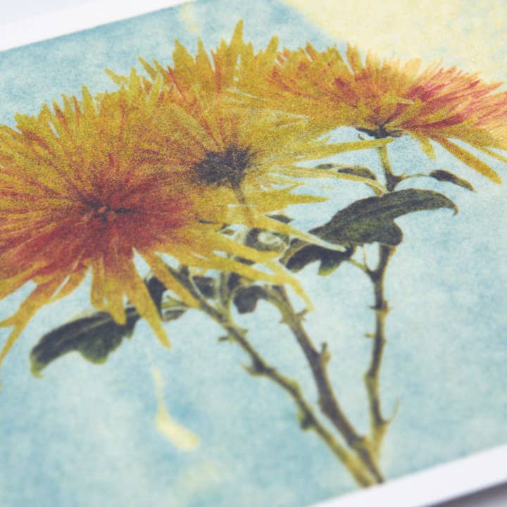 coga - Wholesale Postcard - Postcard chrysanthemum1