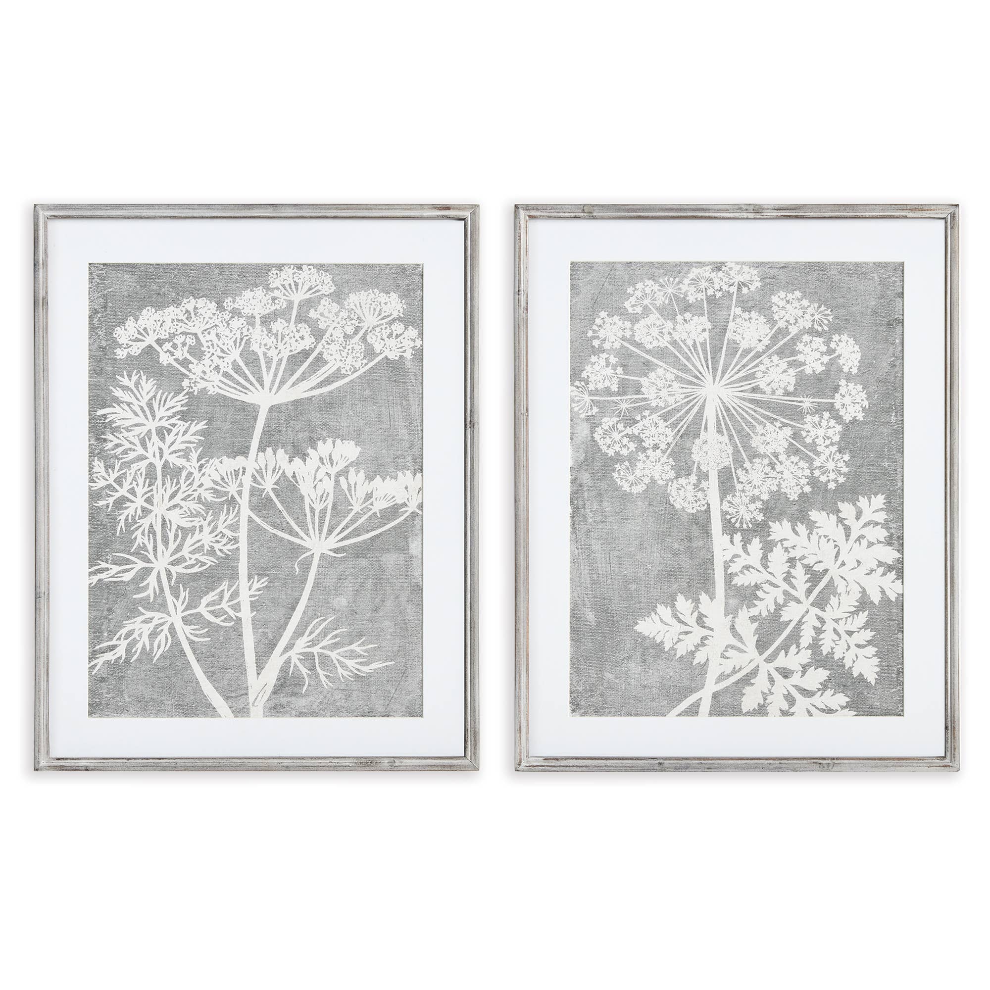 GRAY Blooming Queen Anne'S Lace Prints for wholesale on Faire0