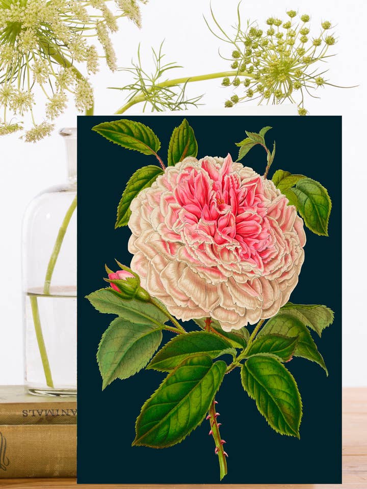 RS052P ~ Blank Midnight Botanical Greeting Card for wholesale by Madame Treacle