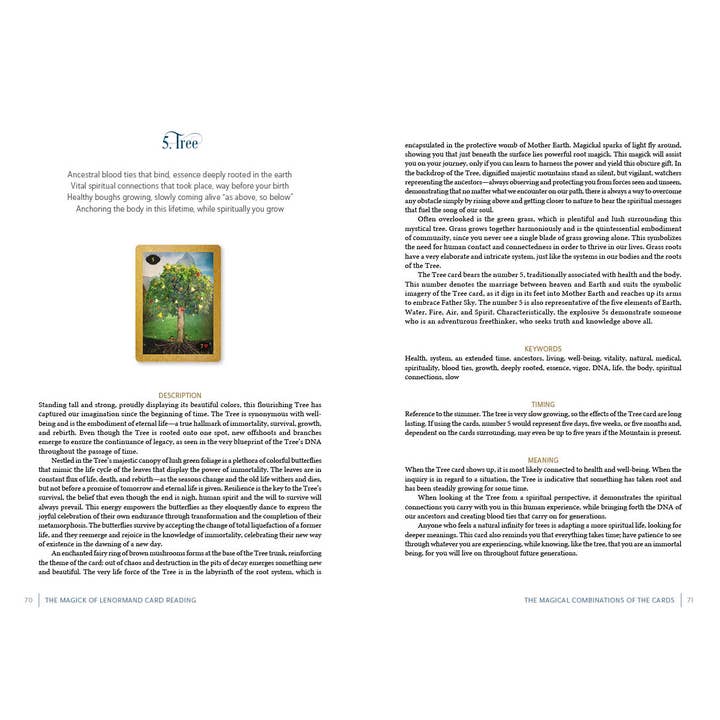 Schiffer Publishing - Wholesale Body, Mind & Spirit Book - The Magick of Lenormand Card Reading5
