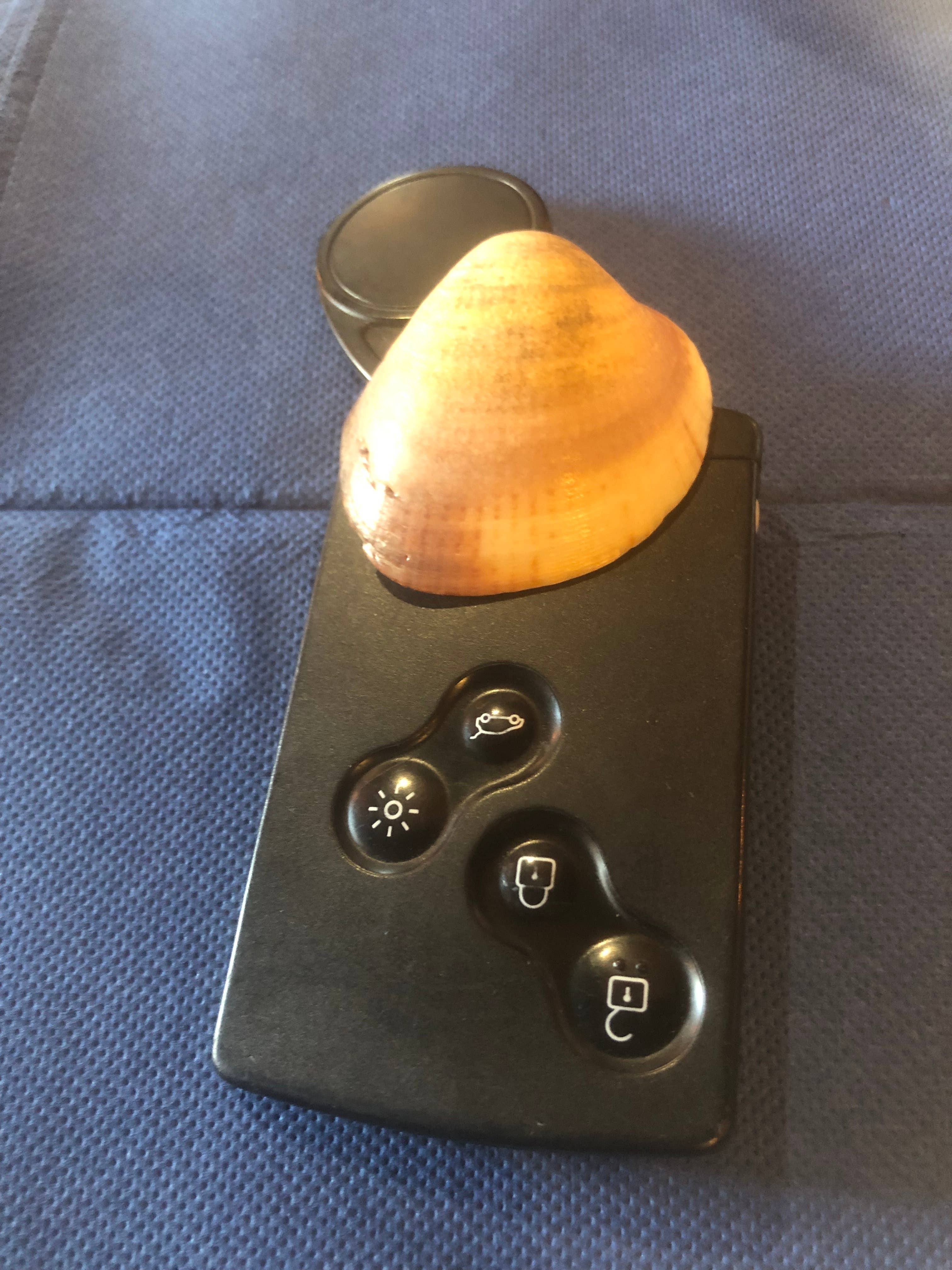 ACCENT DE PROVENCE - Wholesale Salt - 250G CAMARGUE FINE SALT BALLOTIN with SHELL1