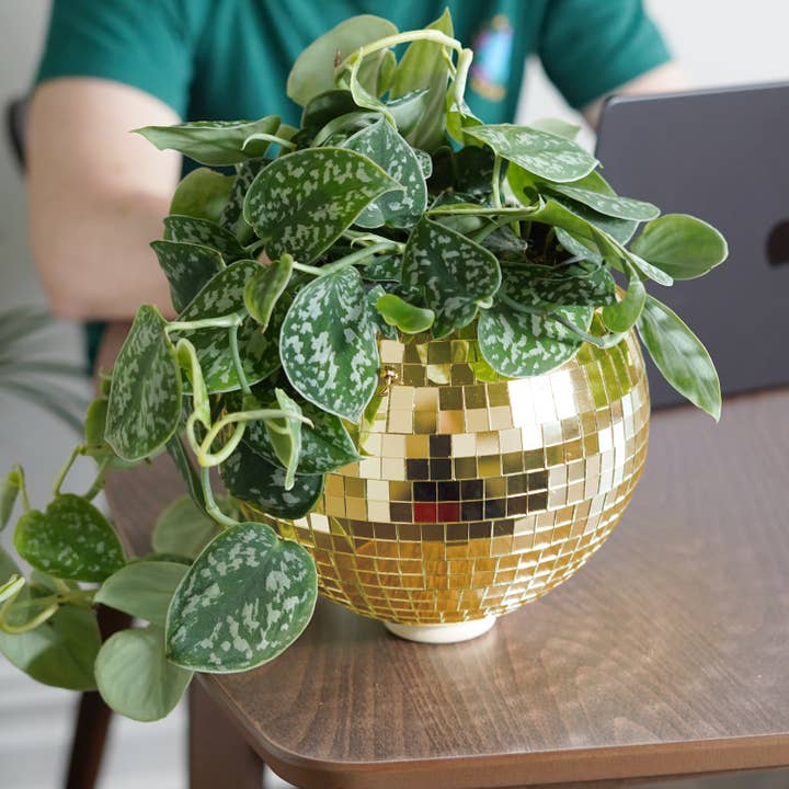 Bubblegum Stuff UK – Großhandel Pflanzenampel – Blumentopf zum Aufhängen, Disco-Kugel, goldfarben (8 Zoll)