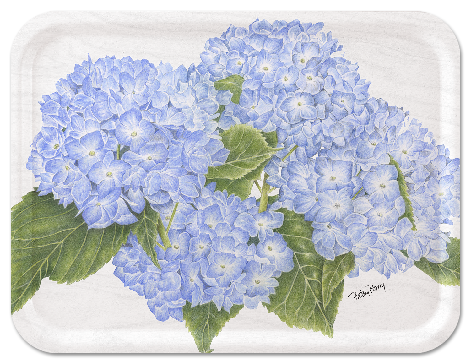 Trays4Us - Vente Plateaux de service - Plateaux botaniques, baleines et crabes sur le thème de la Nouvelle-Angleterre8