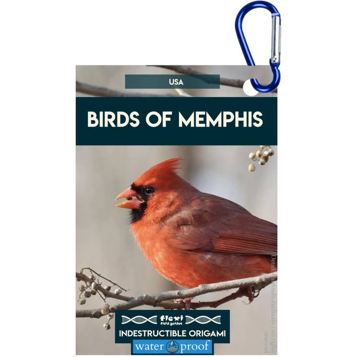 Birds of Memphis-Indestructible Origami for wholesale by Flexi Field Guides