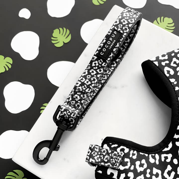 Lomb Léopard Noir pour la vente par Cocopup London