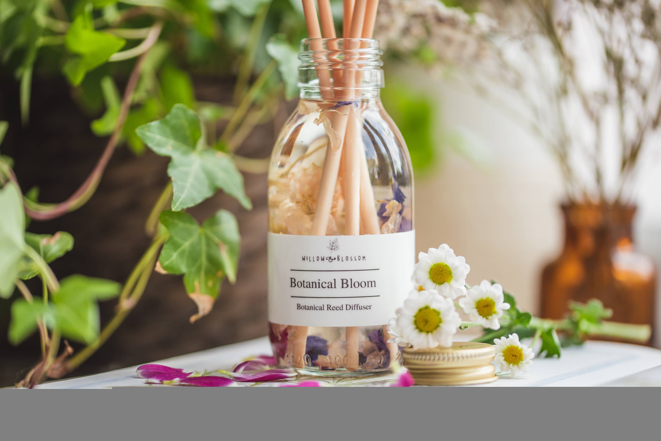 Willow & Blossom Botanicals - Wholesale Reed Diffuser - Botanical Reed Diffuser with dried flowers;choose your scent6