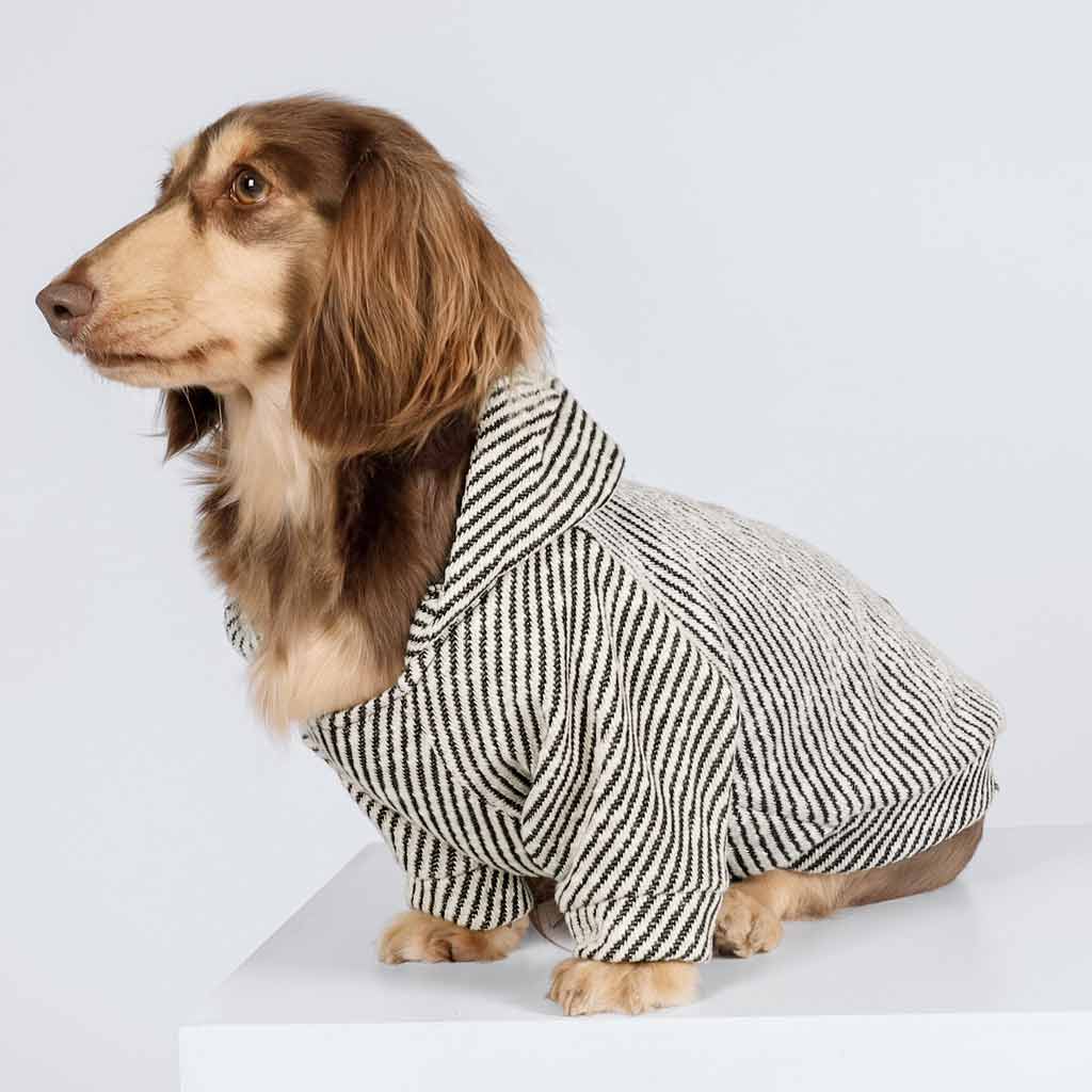 Fitwarm - Wholesale Pet Hoodie - Dog - Silver Striped Dog Hoodie2