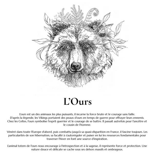 Totem nature - Vente Bâton de sauge - Bâton de Fumigation Bio - Bouquet TOTEM de l'Ours 3