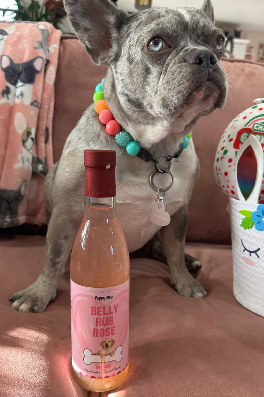Yappy Hour - Wholesale Pet Treats - Dog - Belly Rub Rosé Dog Wine | 6ct | Watermelon3