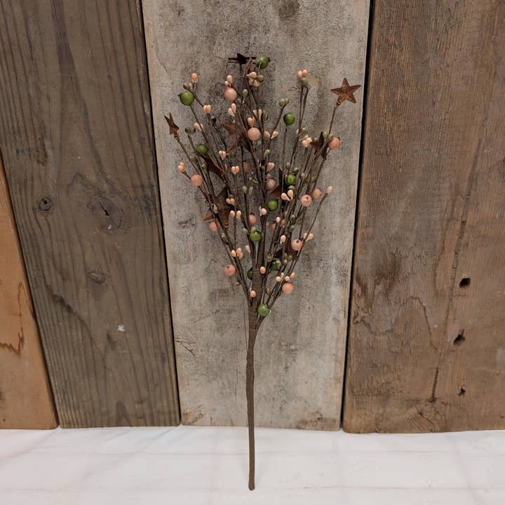 Pequeña y Grande Recolección de Bayas con Estrellas Oxidadas para venta al por mayor de A.T. Imports