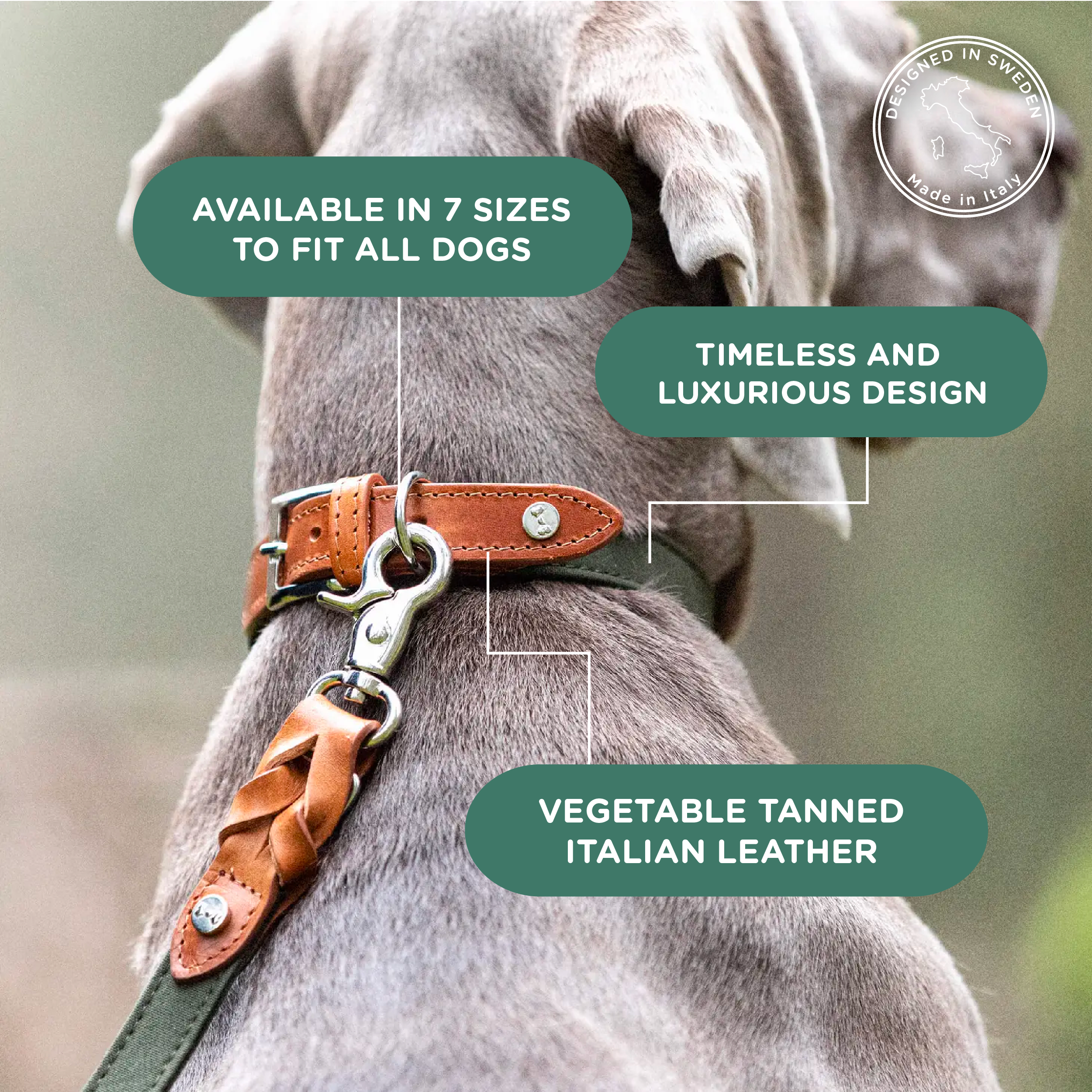 Denjo Dogs - Wholesale Pet Collar - Dog - Dog Collar Signature Cognac & Khaki1