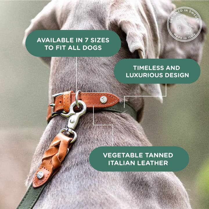 Denjo Dogs - Wholesale Pet Collar - Dog - Dog Collar Signature Cognac & Khaki1