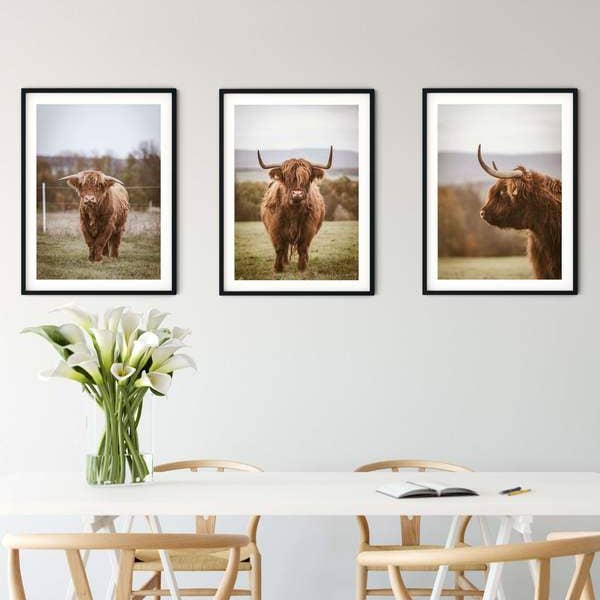 Ensemble de 3 tableaux encadrés Highland Cow pour la vente par Lelloliving