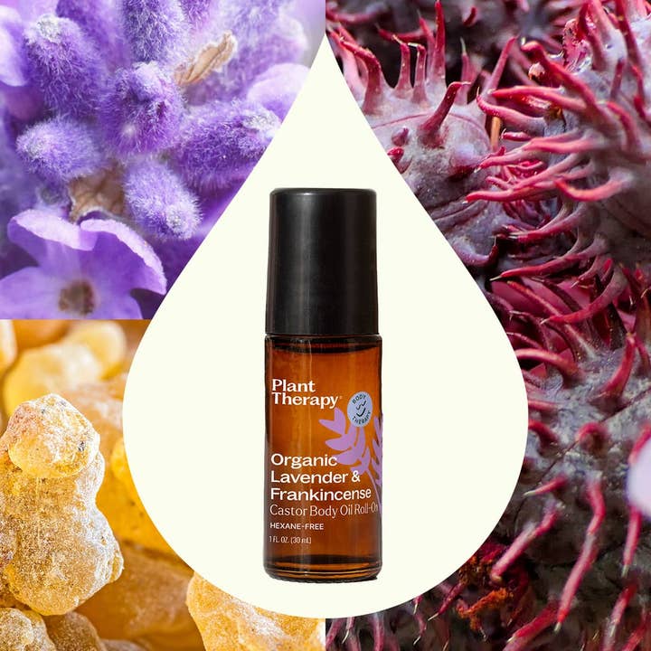 Plant Therapy - Wholesale Bath/body oil - Organic Lavender & Frankincense Castor Body Oil Roll-On 30ml1