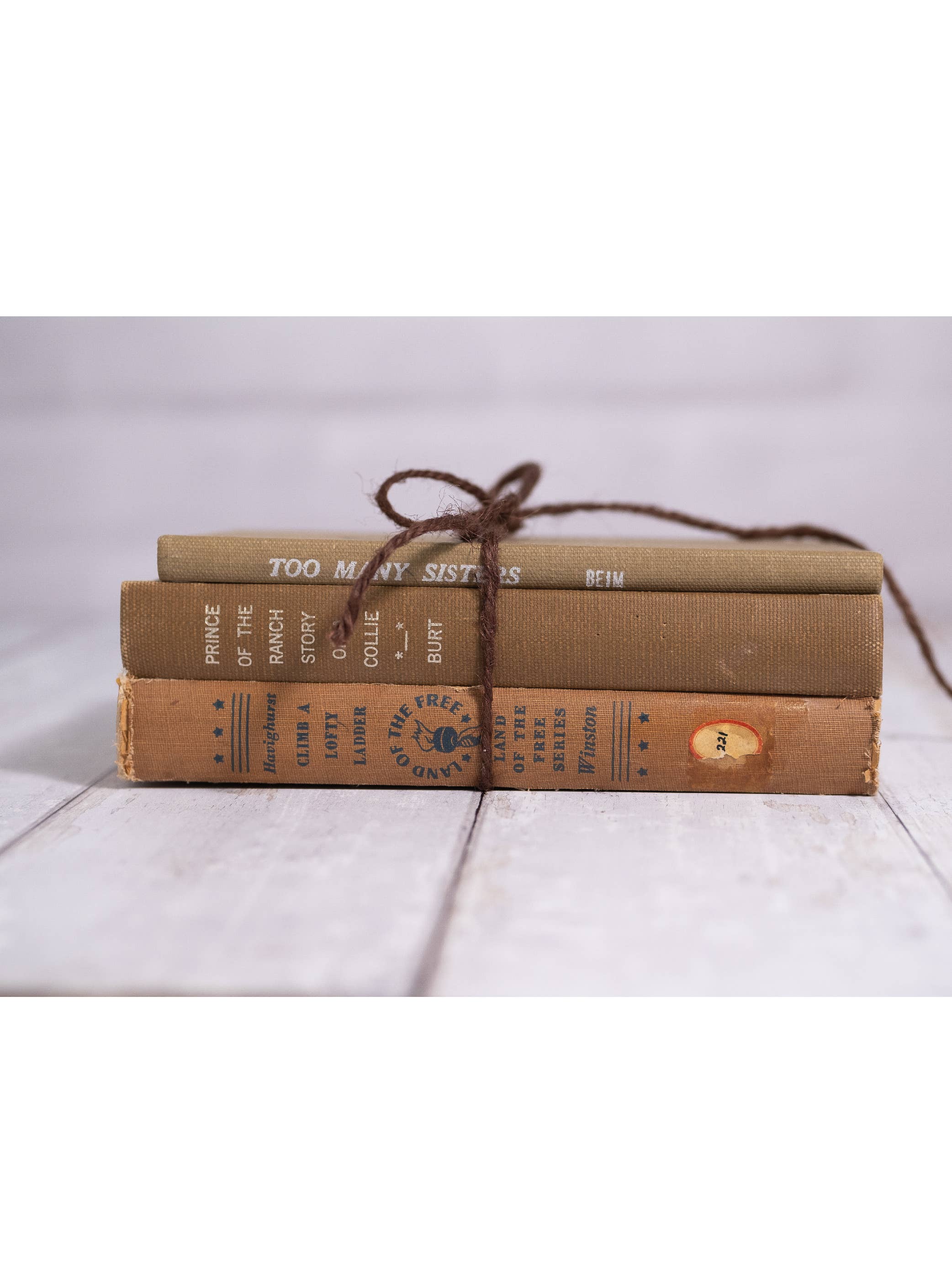 Made Market Co. - Wholesale Decorative Tabletop Object - Decorative Vintage Books Decor - Neutrals  Set of 36