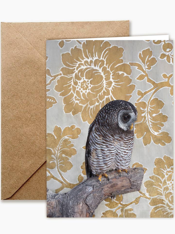Tarjeta de notas individual Wood Owl n.º 7414 para venta al por mayor de CLAIRE ROSEN