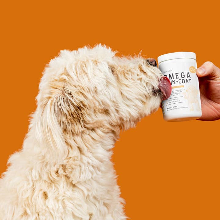 Chew + Heal - Wholesale Pet Supplement - Dog - Omega Skin & Coat Supplement5
