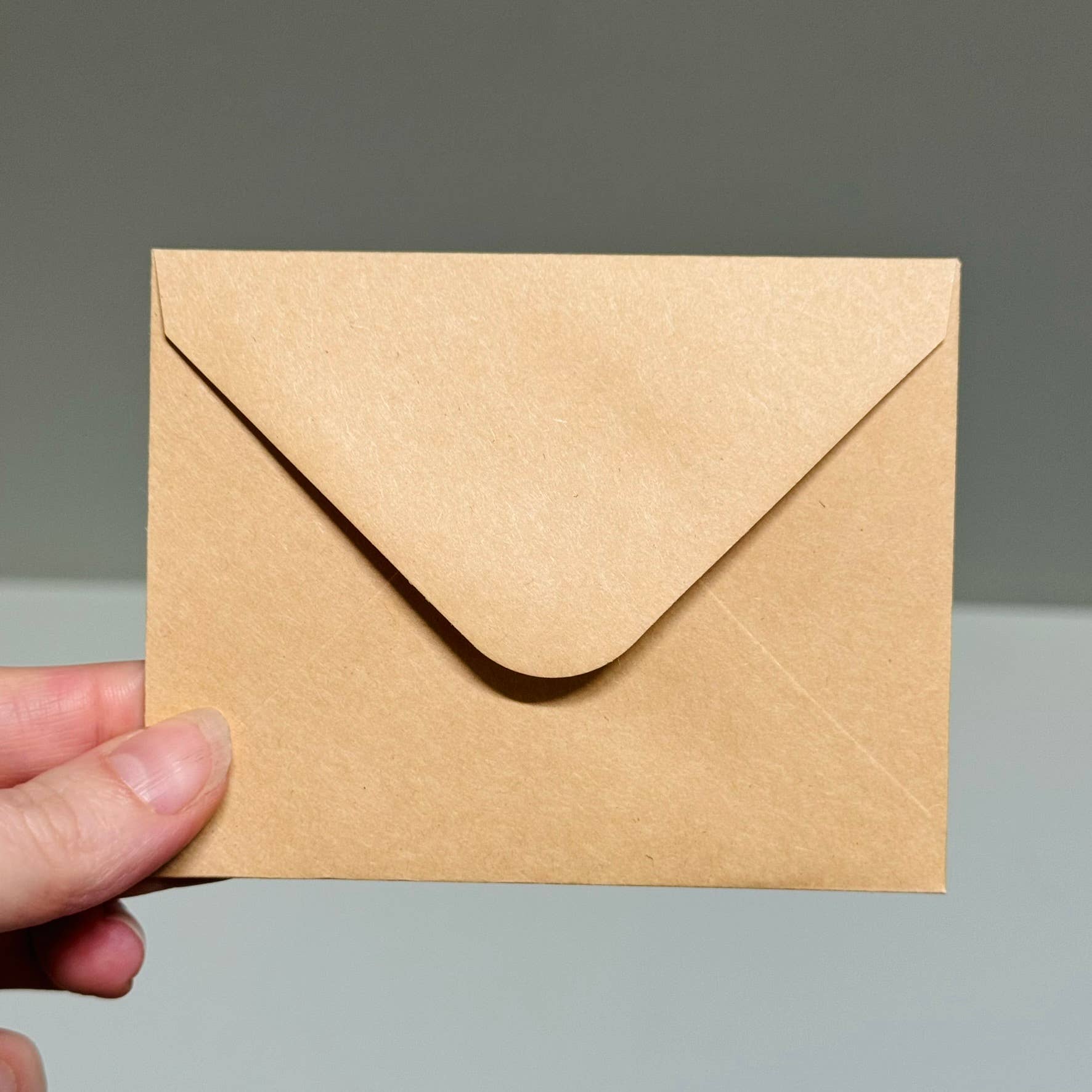 Scattered Seed Co - Wholesale Stationery/Notecard Set - IRIS greeting cards set of 4 Mini or Regular size5