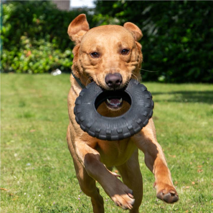 Ancol Pet Products Ltd – Engroshandel Legetøj - Hund – Extreme Tyre robust hundelegetøj1