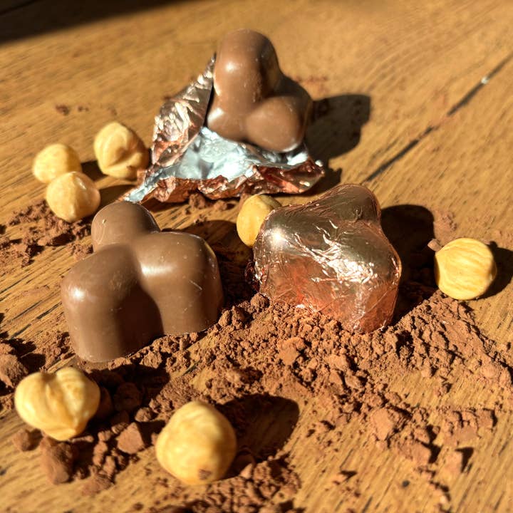 CIOCCOLATO CHIAMBRETTO 1910 - IL CIOCCOLATO DI TORINO - Venta al por mayor Dulces con chocolate - Tris de leche con avellanas enteras