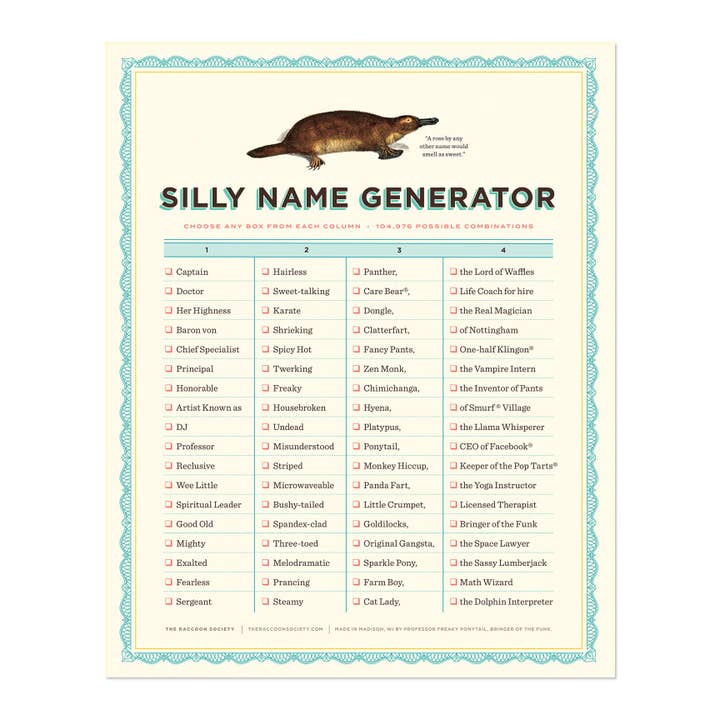 The Raccoon Society - Vendita all'ingrosso Stampa artistica - Stampa artistica «Silly Name Generator»1