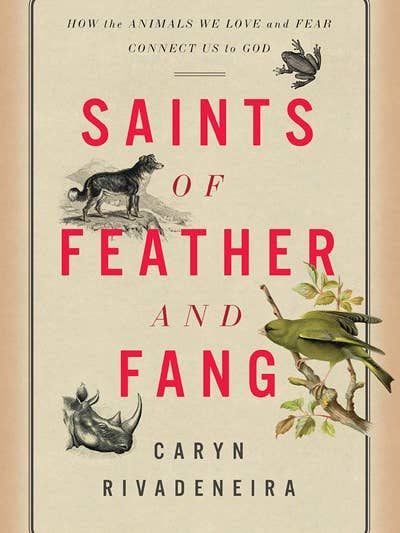 Saints of Feather and Fang for wholesale by Broadleaf Books