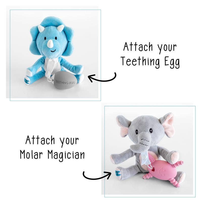 molar magician teether