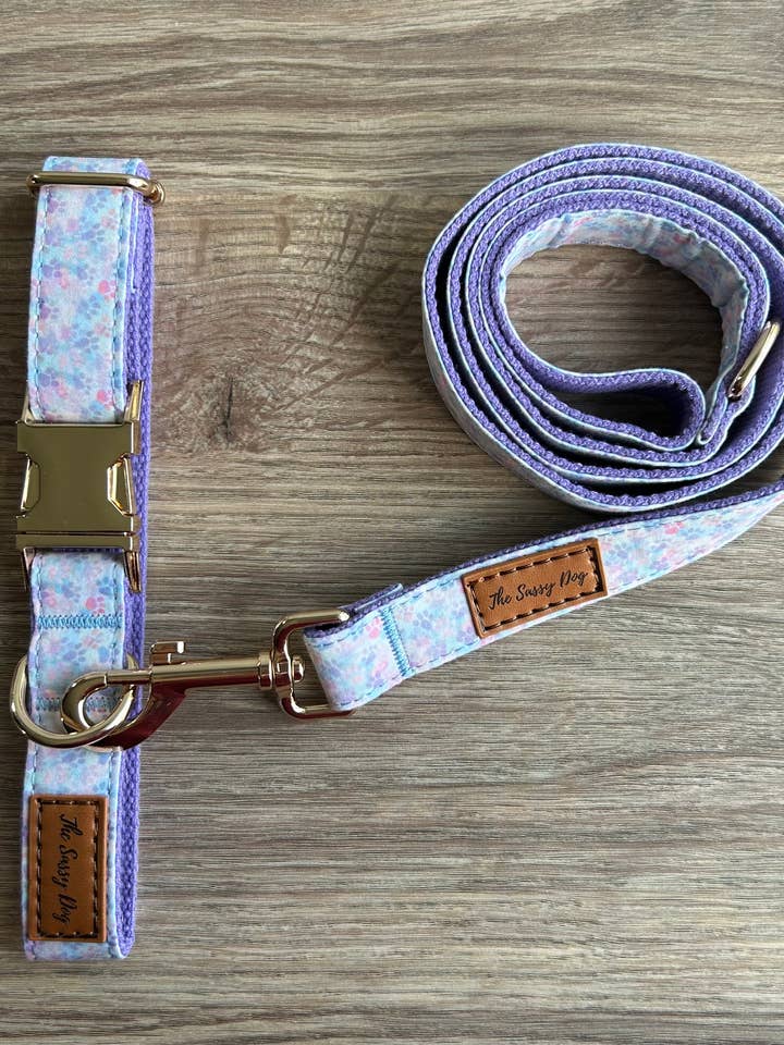 The Sassy Dog Collar & Leash Set - Paw Print Collection for wholesale by The Sassy Dog