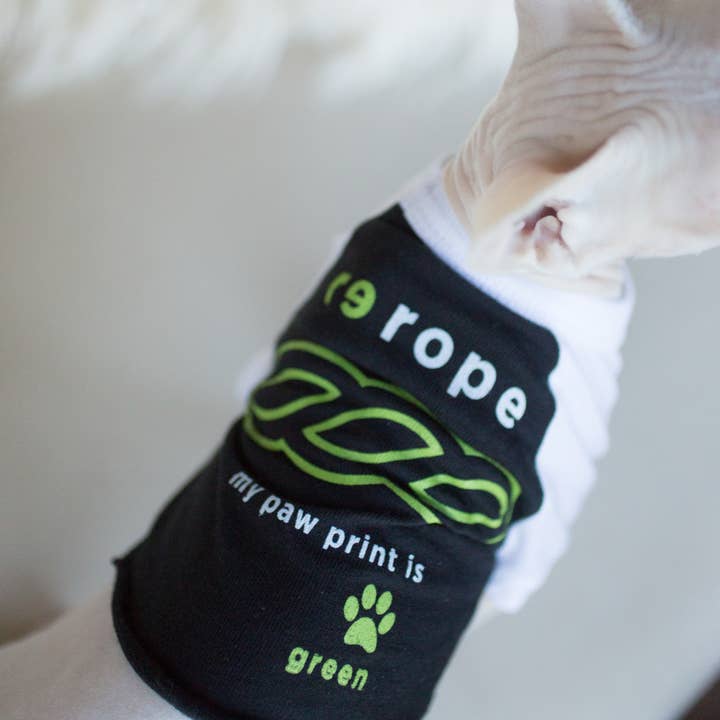 Shreds + rerope - Vente Jouet en corde – chien - Jouets ReRope Game Day Spider pour chats, paquet de 101