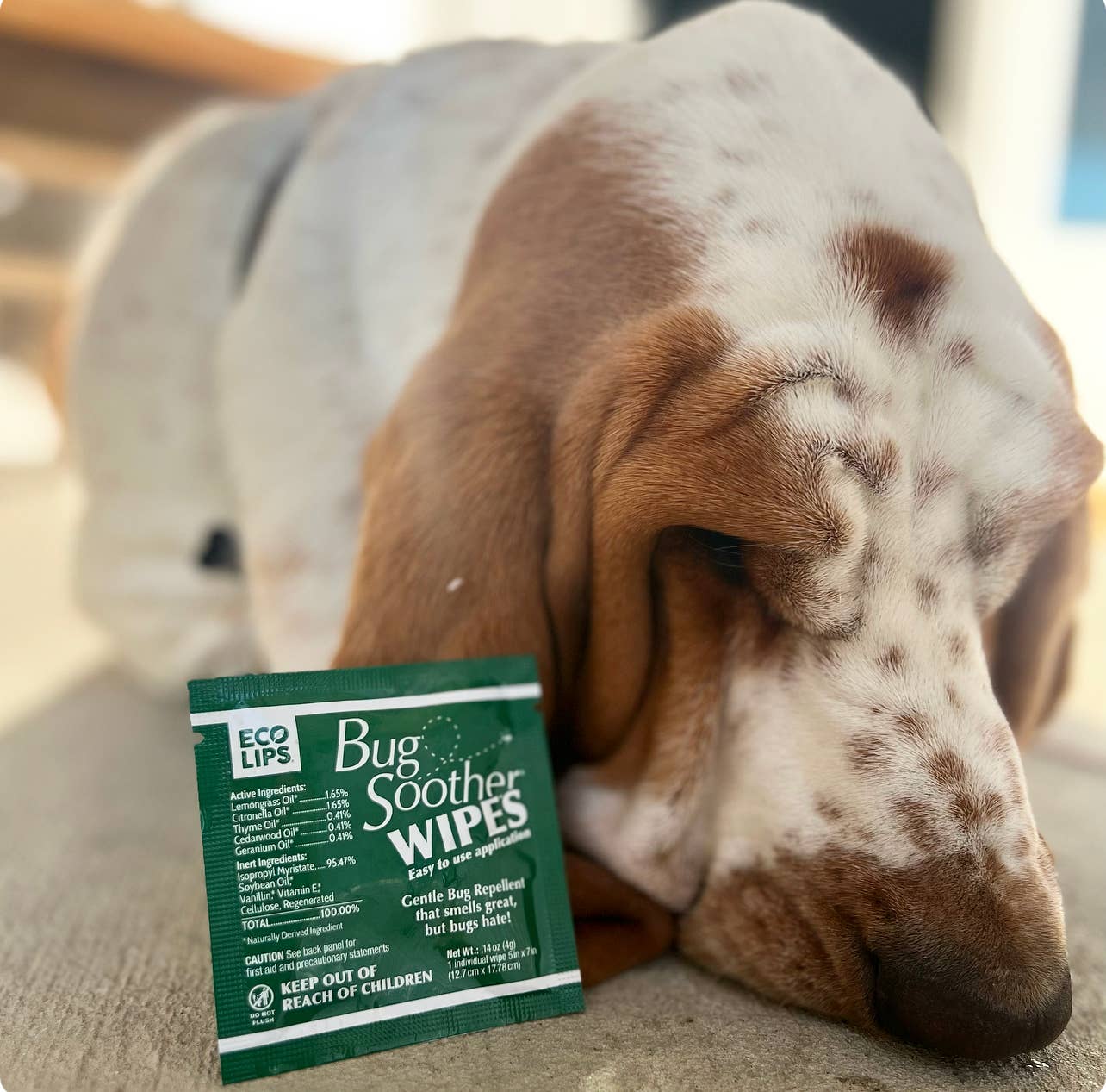 Eco Lips & Bug Soother - Wholesale Insect Repellent - Bug Soother Mosquito Repellent Wipes 15-count2