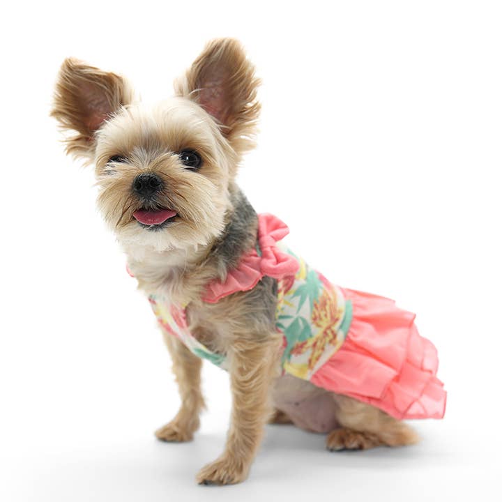 Dogo Pet - Wholesale Pet Dress - Dog - Autumn Leaves Dress