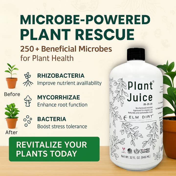 Elm Dirt - Wholesale Fertilizer - Plant Juice (32 oz) - Organic liquid Fertilizer Concentrate