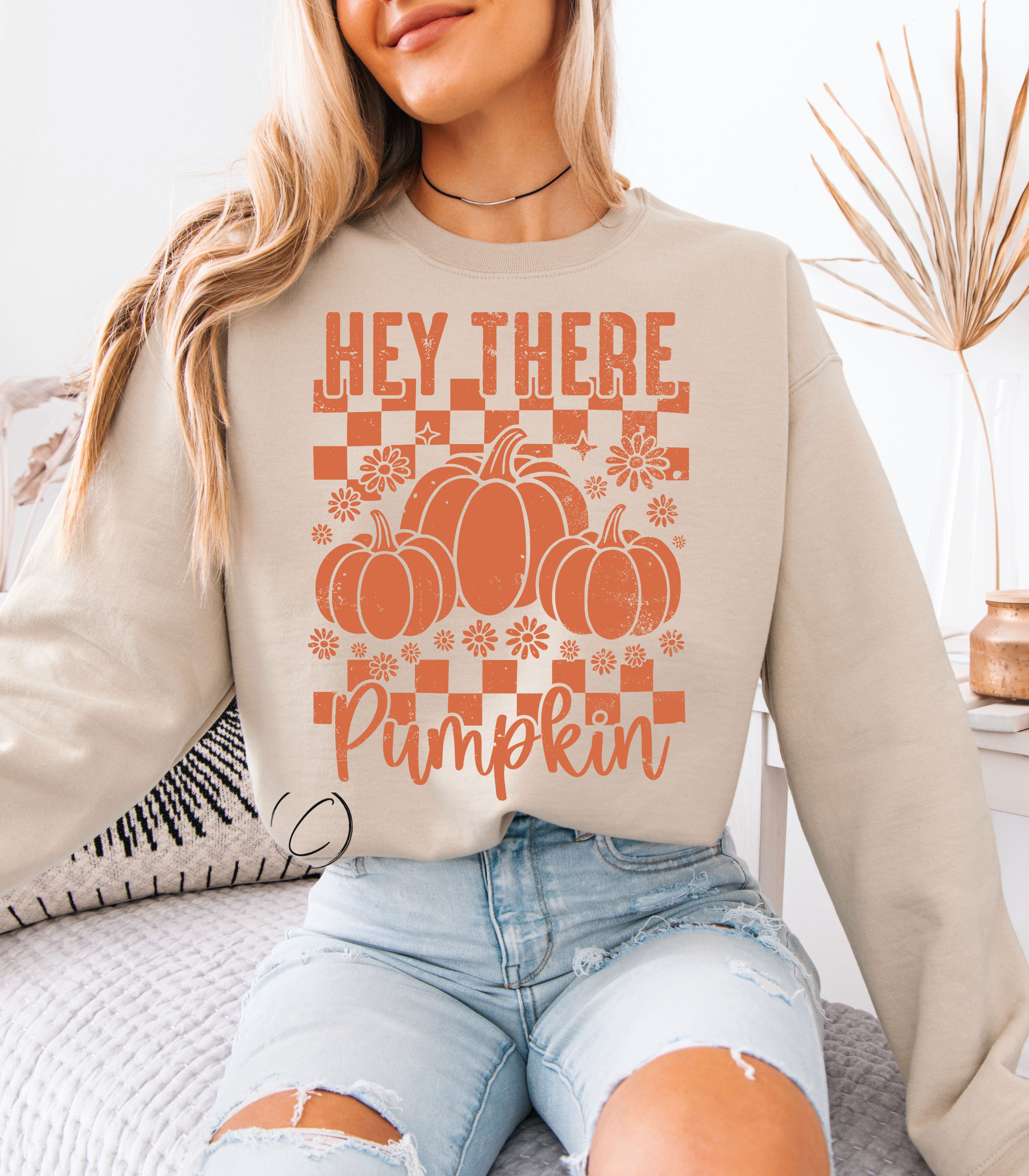 CMD Wholesale - Wholesale Graphic Sweatshirt - Unisex - Hey There Pumpkin Sweatshirt1