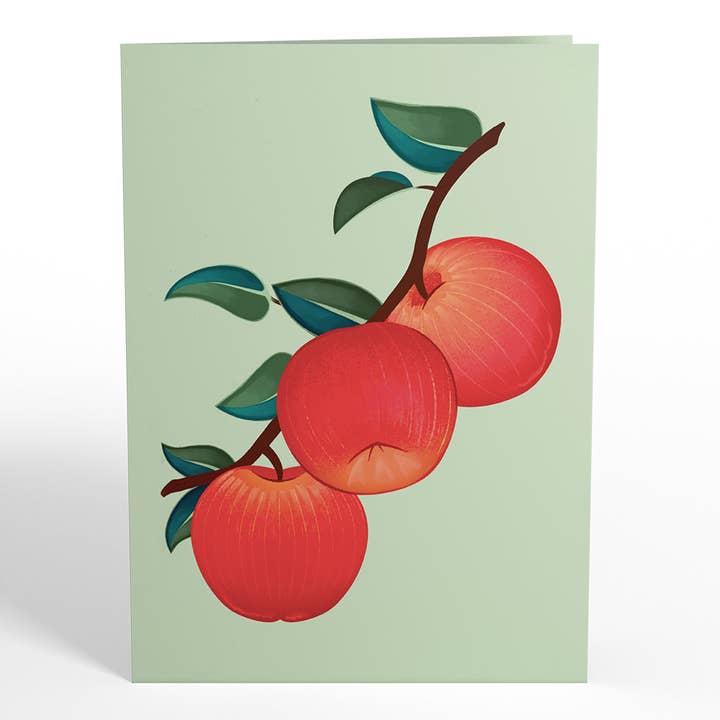 Lovepop Cards - Wholesale Everyday Greeting Card - Apple Tree Pop-Up Card 5x7"4