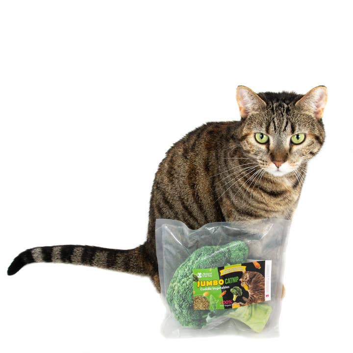 Natural Cat Toy - Wholesale Pet Toy - Cat - Catnip Jumbo Broccoli Cuddle Toy
