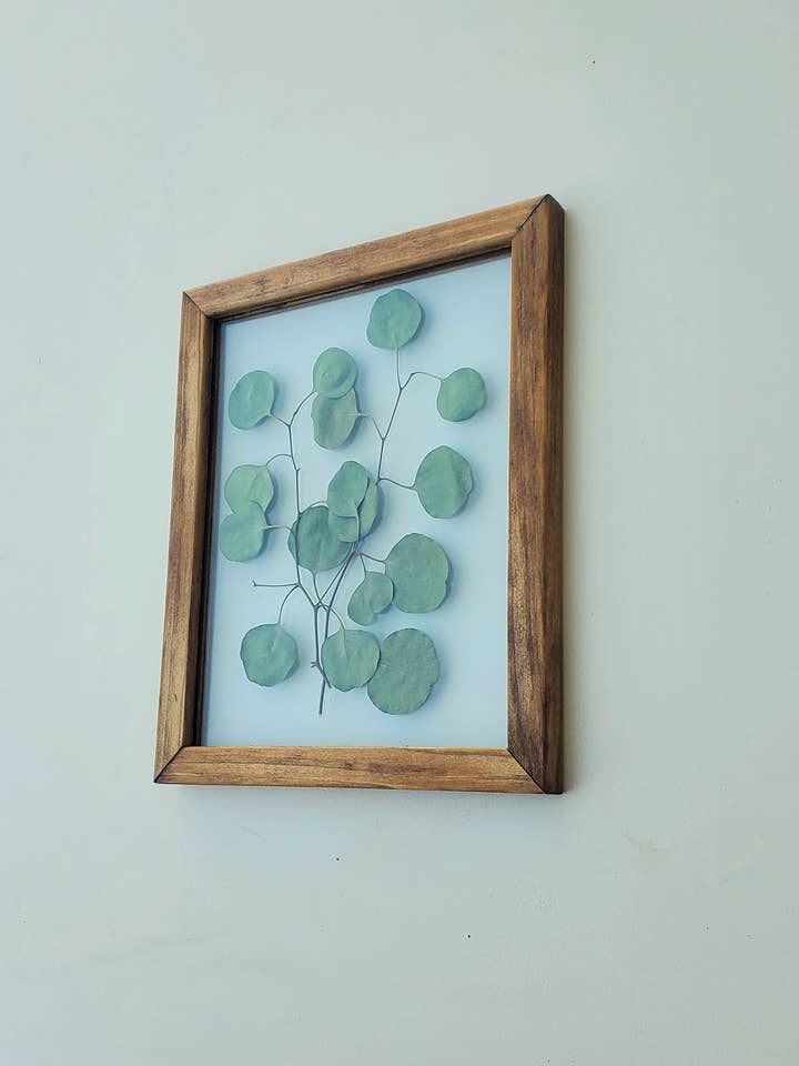 Eucalyptus pressed flower frame, real preserved floral art for wholesale by Studio Wildflower
