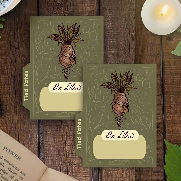 Mandrake Book Plate Sticker for wholesale by Tied Fates