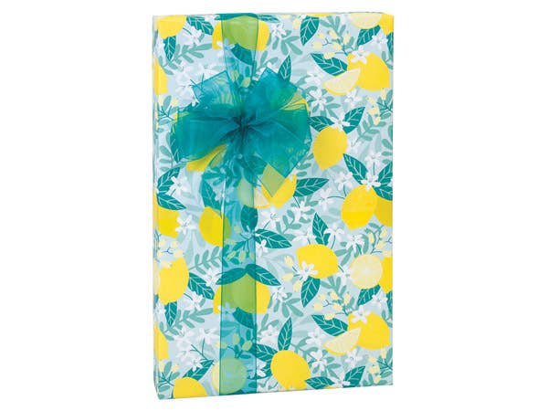 Nashville Wraps - Wholesale Wrapping Paper Roll - Special Purchase Gift Wrapping Paper8