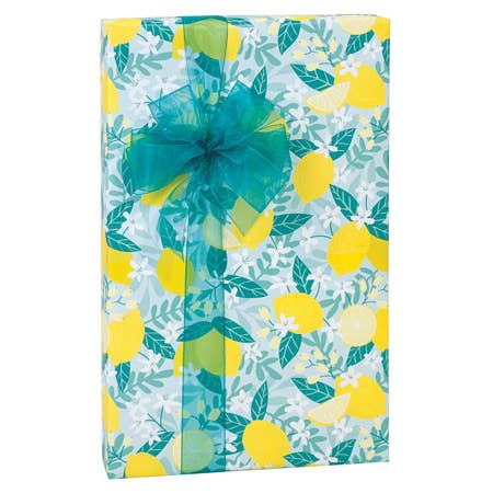 Nashville Wraps - Wholesale Wrapping Paper Roll - Special Purchase Gift Wrapping Paper8