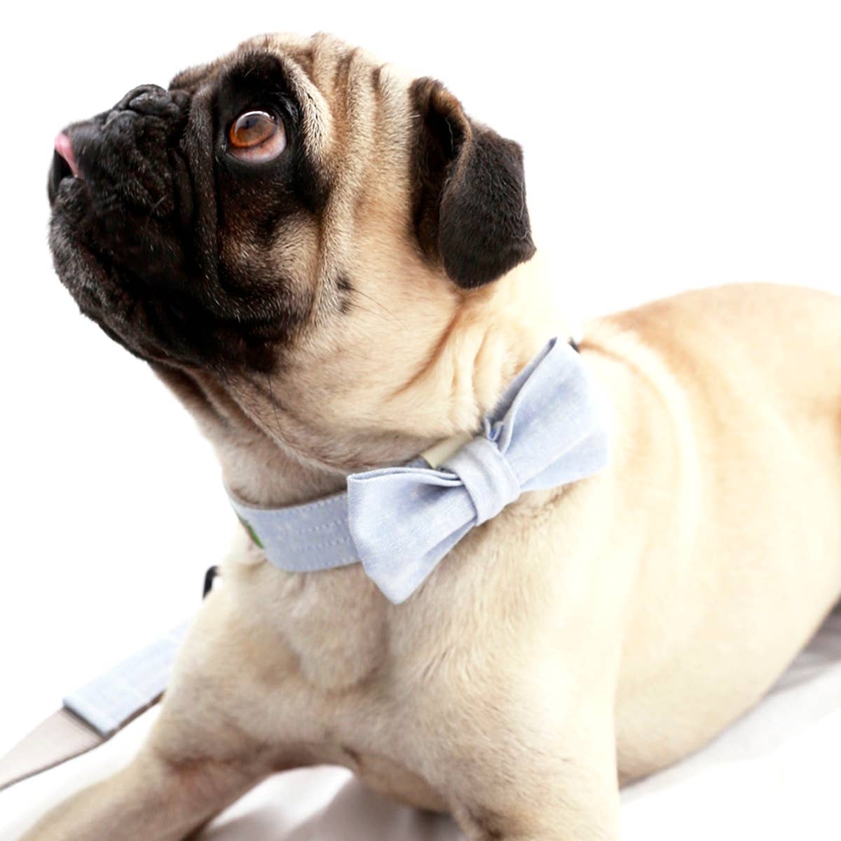 Mimi Green - Wholesale Pet Bow Tie - Dog - Linen Bow Tie Collar Accessory2