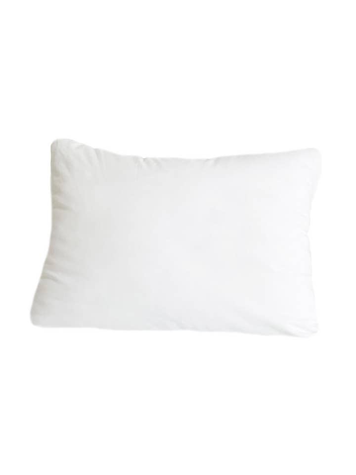 Insert de coussin Dutch Euro 28x36 pour la vente par Anaya Home