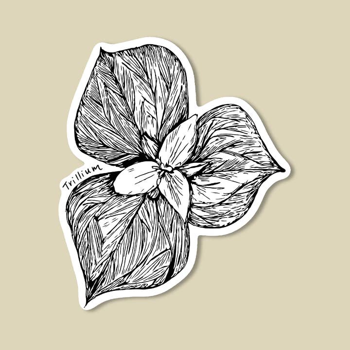 Trillium Wildflower Sticker / Pacific Northwest Sticker for wholesale by Laura K Maxwell