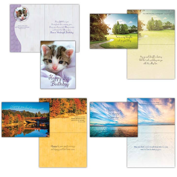 Crown Point Graphics - Vente Carte de vœux classique - Assortiment de 2 cartes de vœux toutes occasions, en boîte8