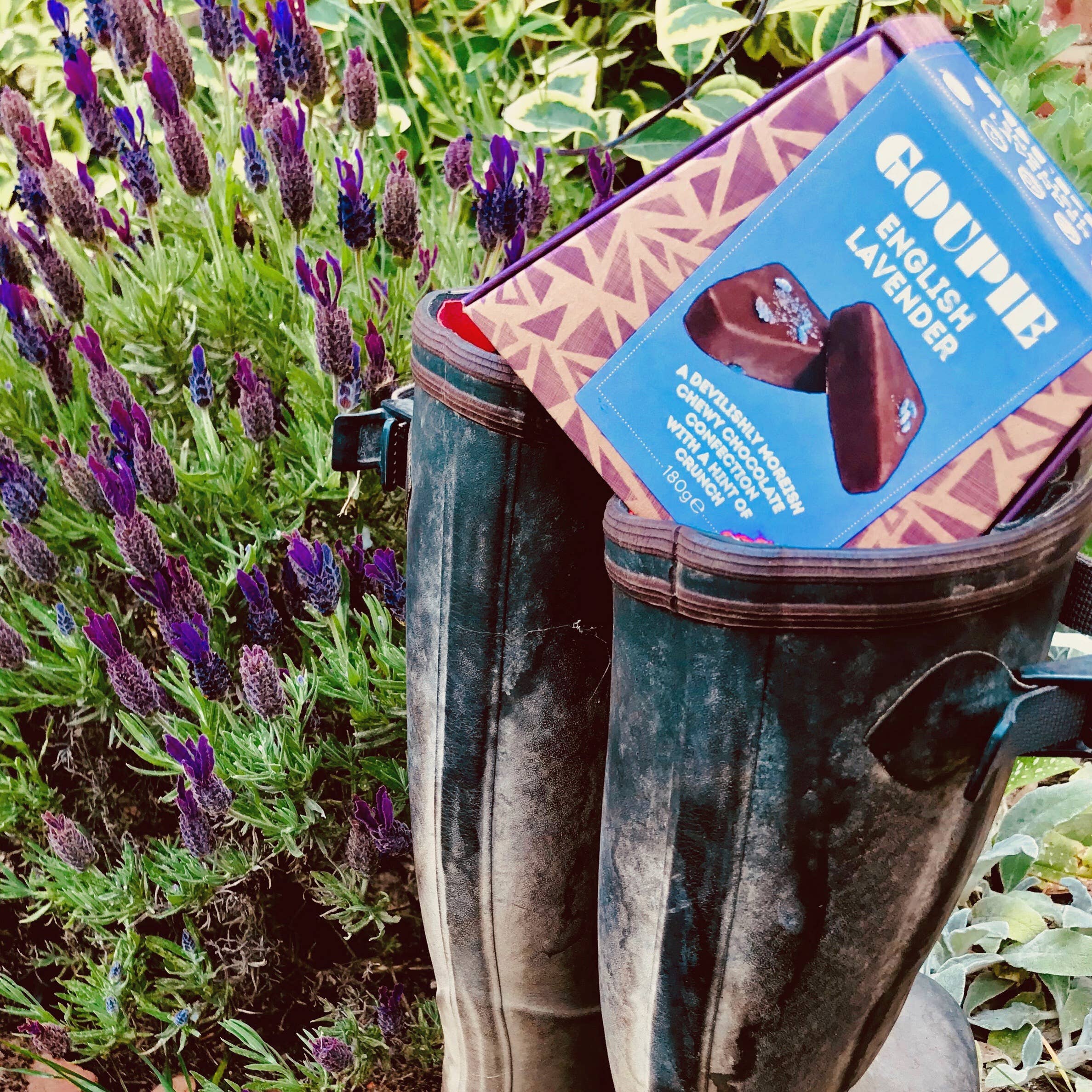 Goupie – wholesale Chocolate – English Lavender Goupie Chocolate2