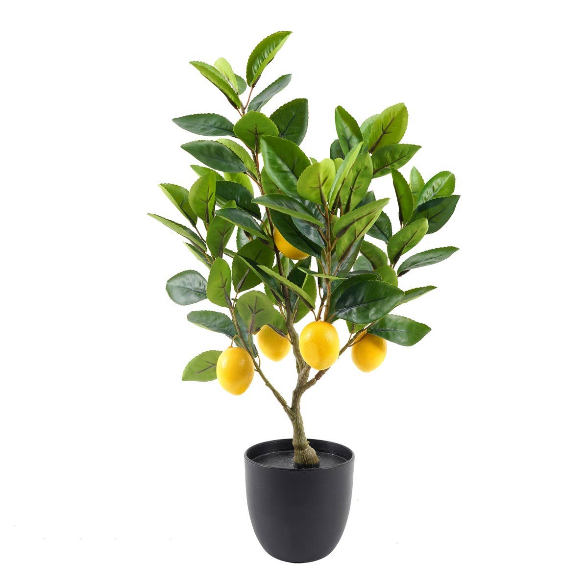 Signes Grimalt - Wholesale Artificial plant - Signes Grimalt Plant 362210