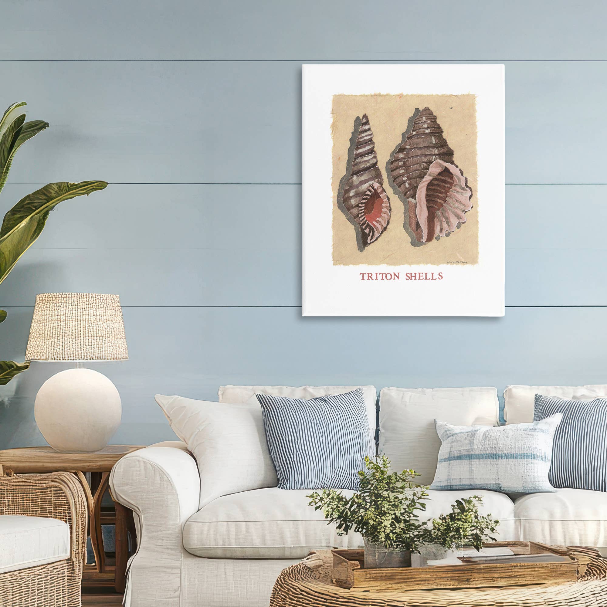 Stupell Industries - Wholesale Wall Sign - Triton Shell Pair - Unframed Wall Art4